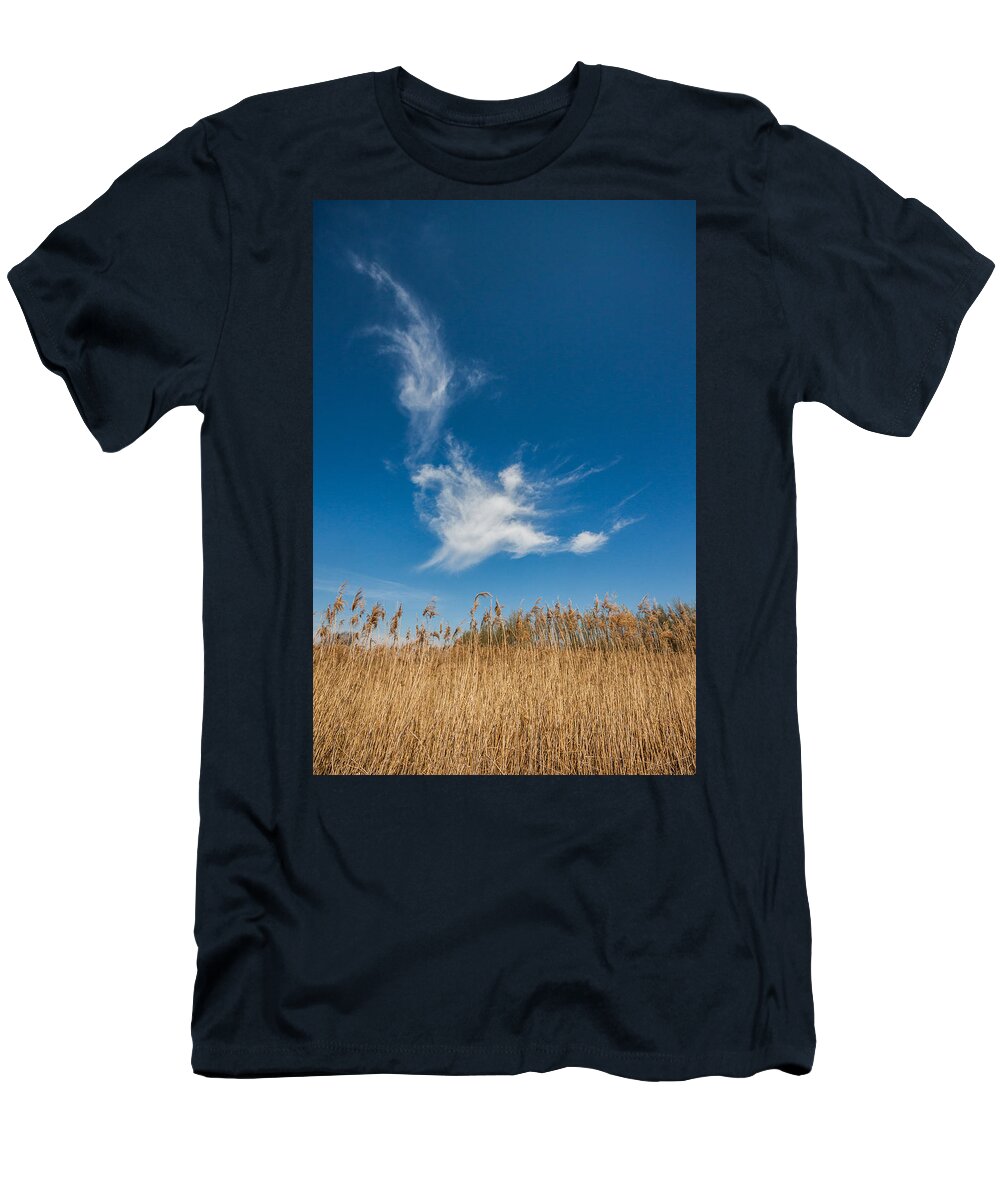 Spring T-Shirt featuring the photograph Freedom by Davorin Mance