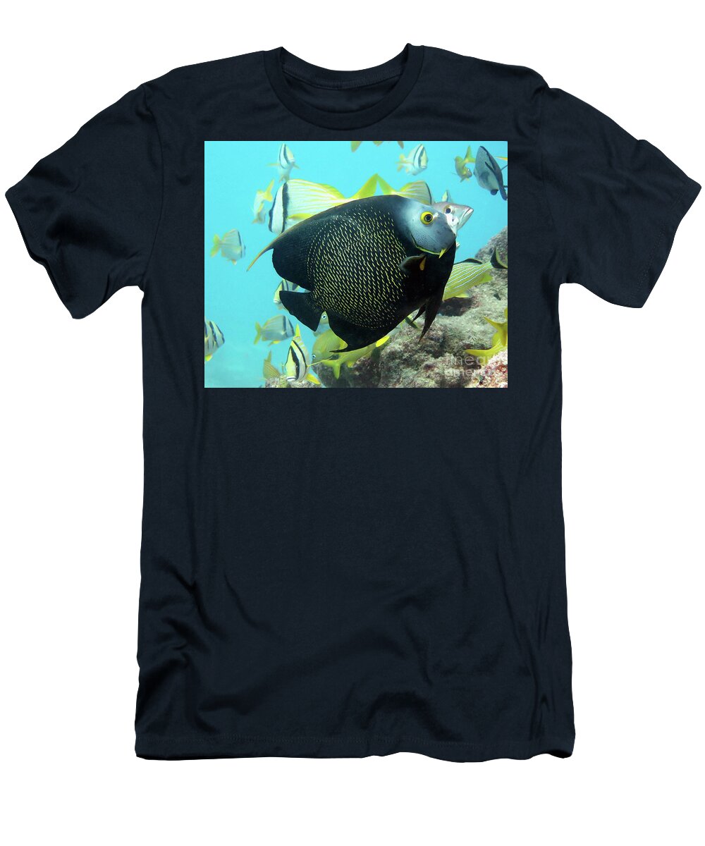 Underwater T-Shirt featuring the photograph French Angelfish 4 by Daryl Duda