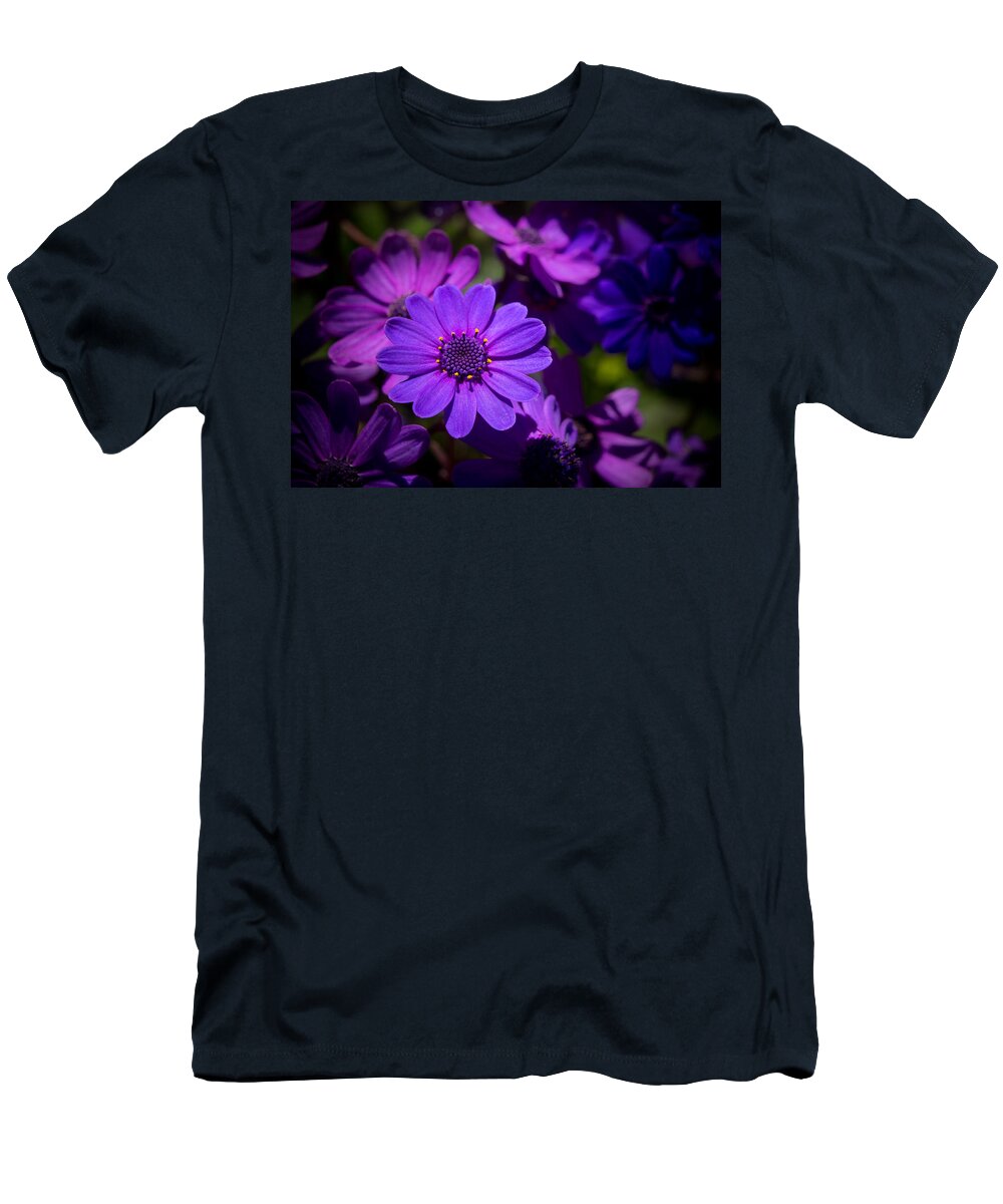 Flower T-Shirt featuring the photograph Garden Light by Derek Dean