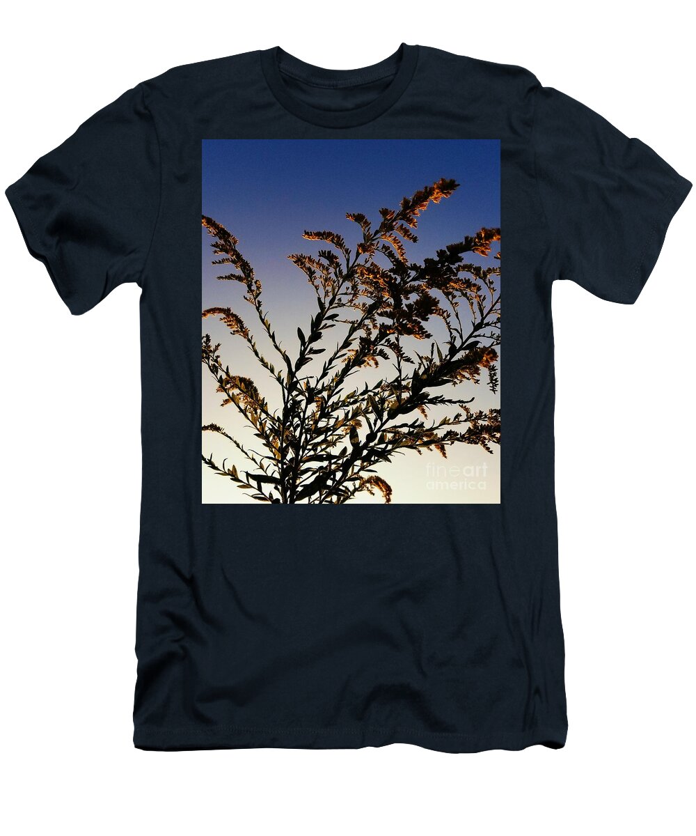 Goldenrod Glow T-Shirt featuring the photograph Goldenrod Glow by Maria Urso