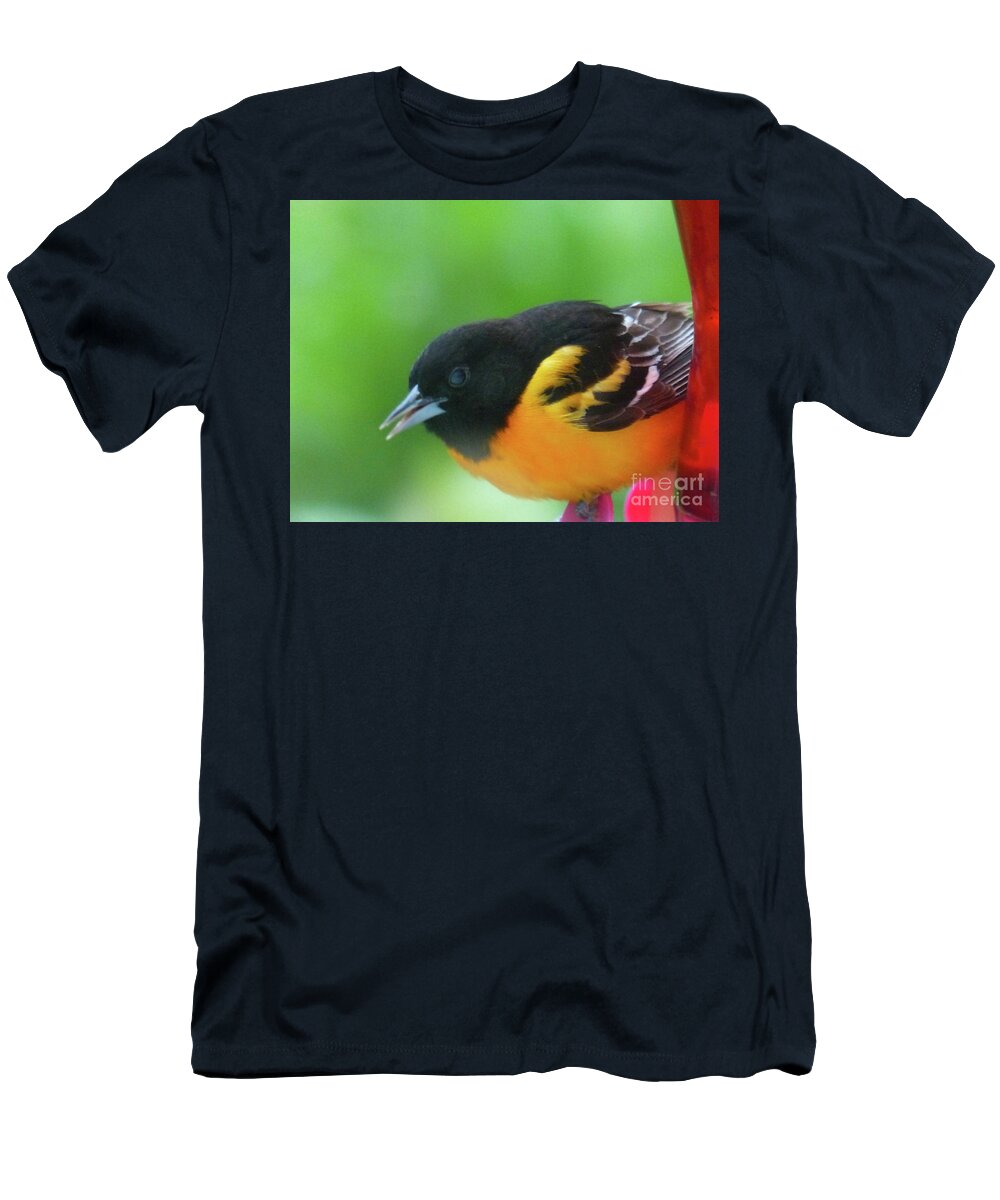 Baltimore Oriole T-Shirt featuring the photograph Good Morning Mr. Oriole by Rosanne Licciardi
