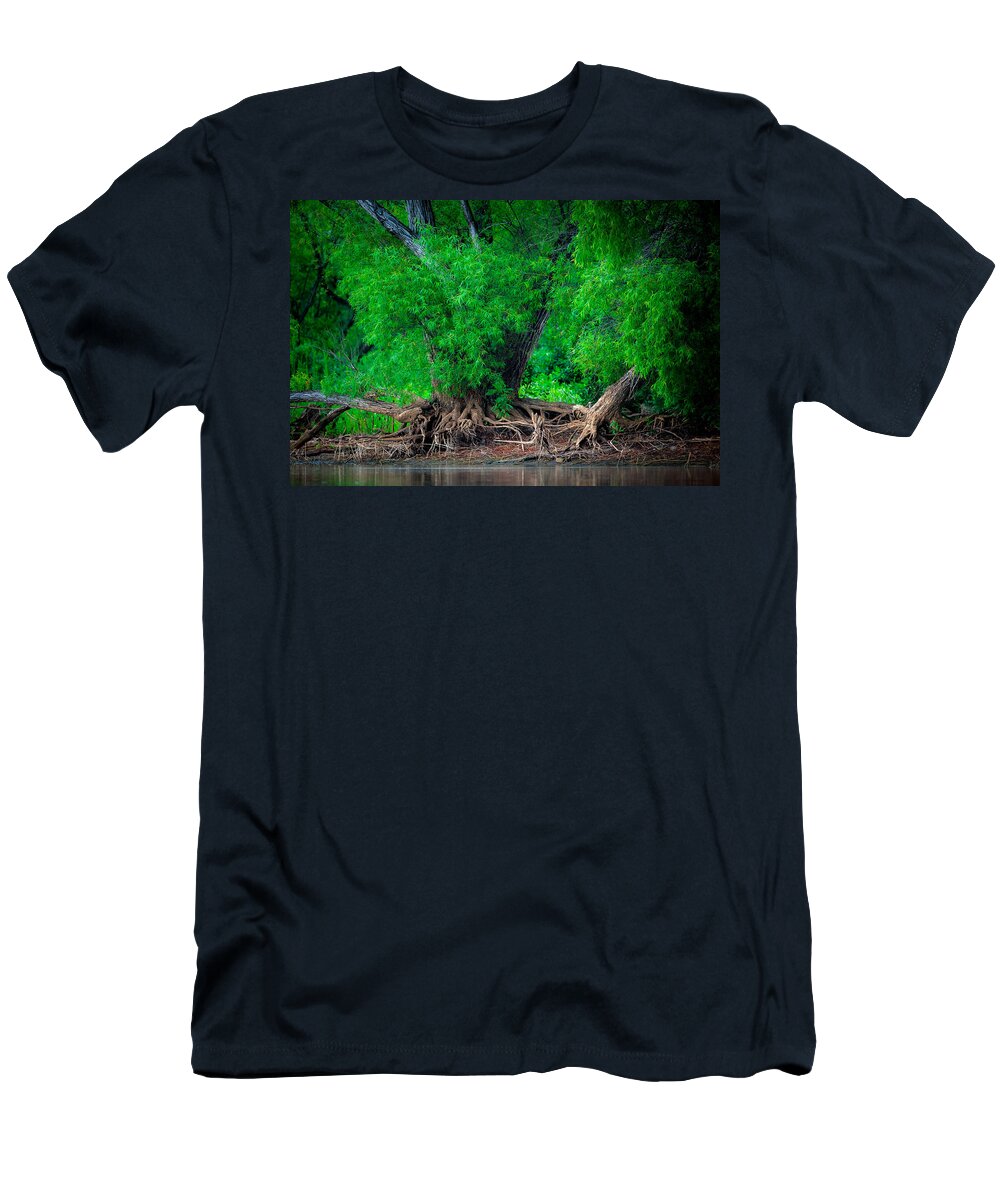 Tree T-Shirt featuring the photograph Grandfather Willow by Jeff Phillippi