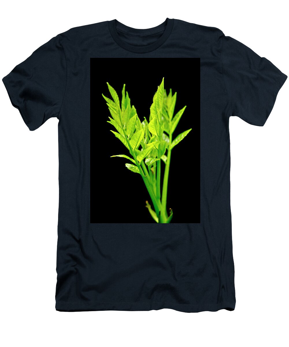 Forest T-Shirt featuring the photograph Green Spurs and Sunlight. by Elena Perelman