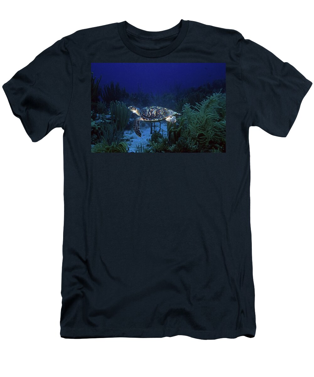 Hawksbill Sea Turtle T-Shirt featuring the photograph Hawksbill Sea Turtle 1 by Pauline Walsh Jacobson