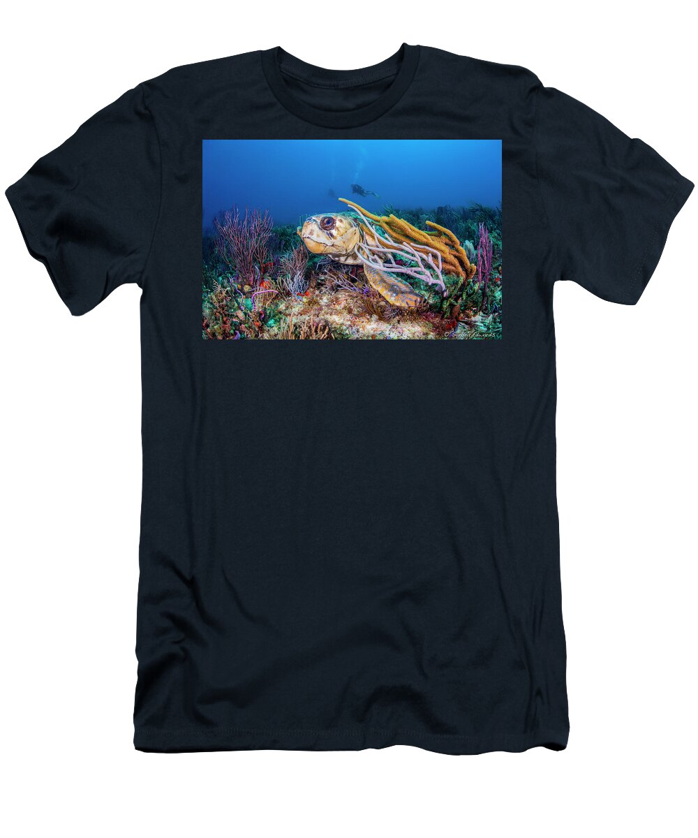 Loggerhead T-Shirt featuring the photograph Hiding From You by Sandra Edwards