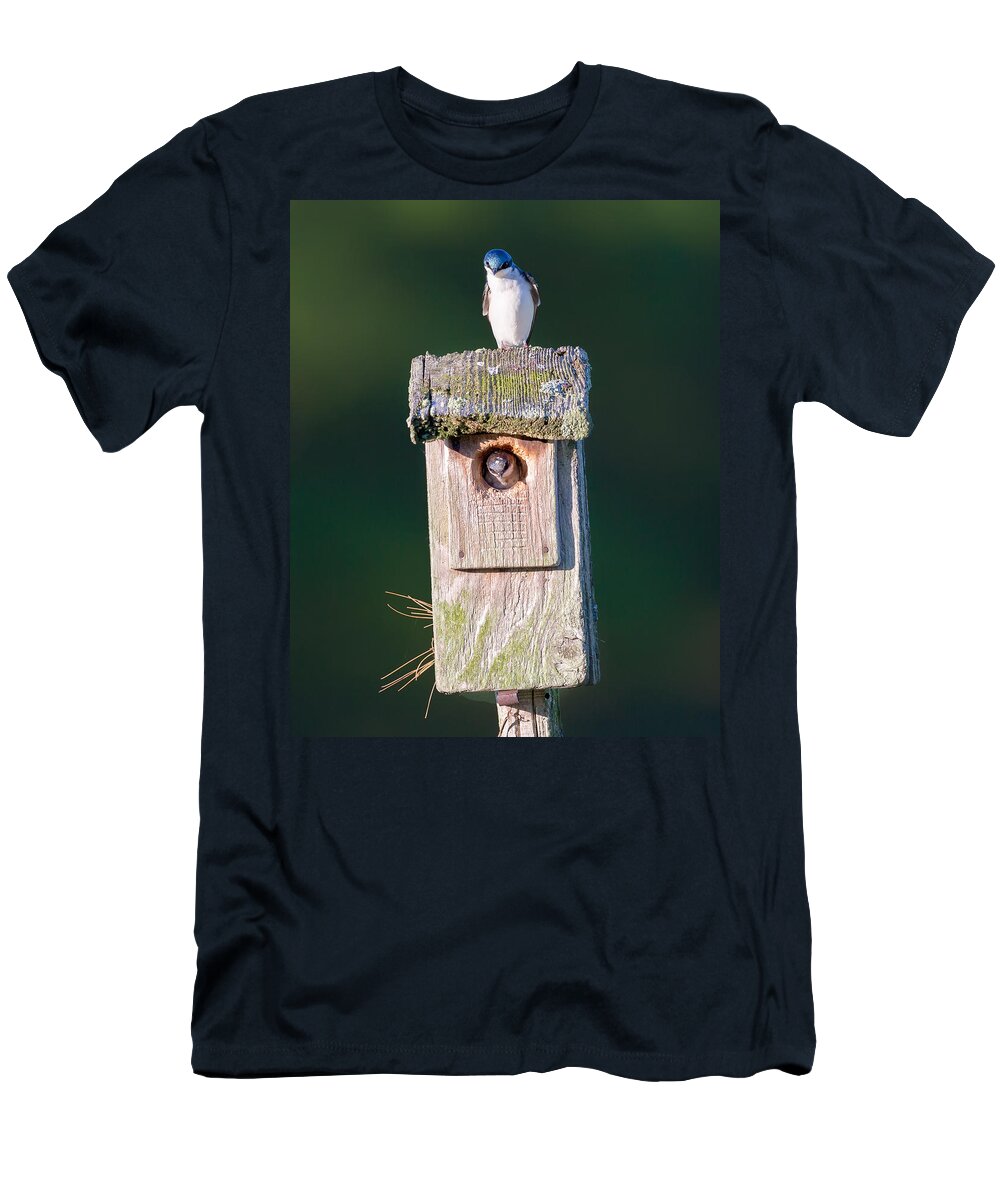 Tree Swallow T-Shirt featuring the photograph Home by Bill Wakeley