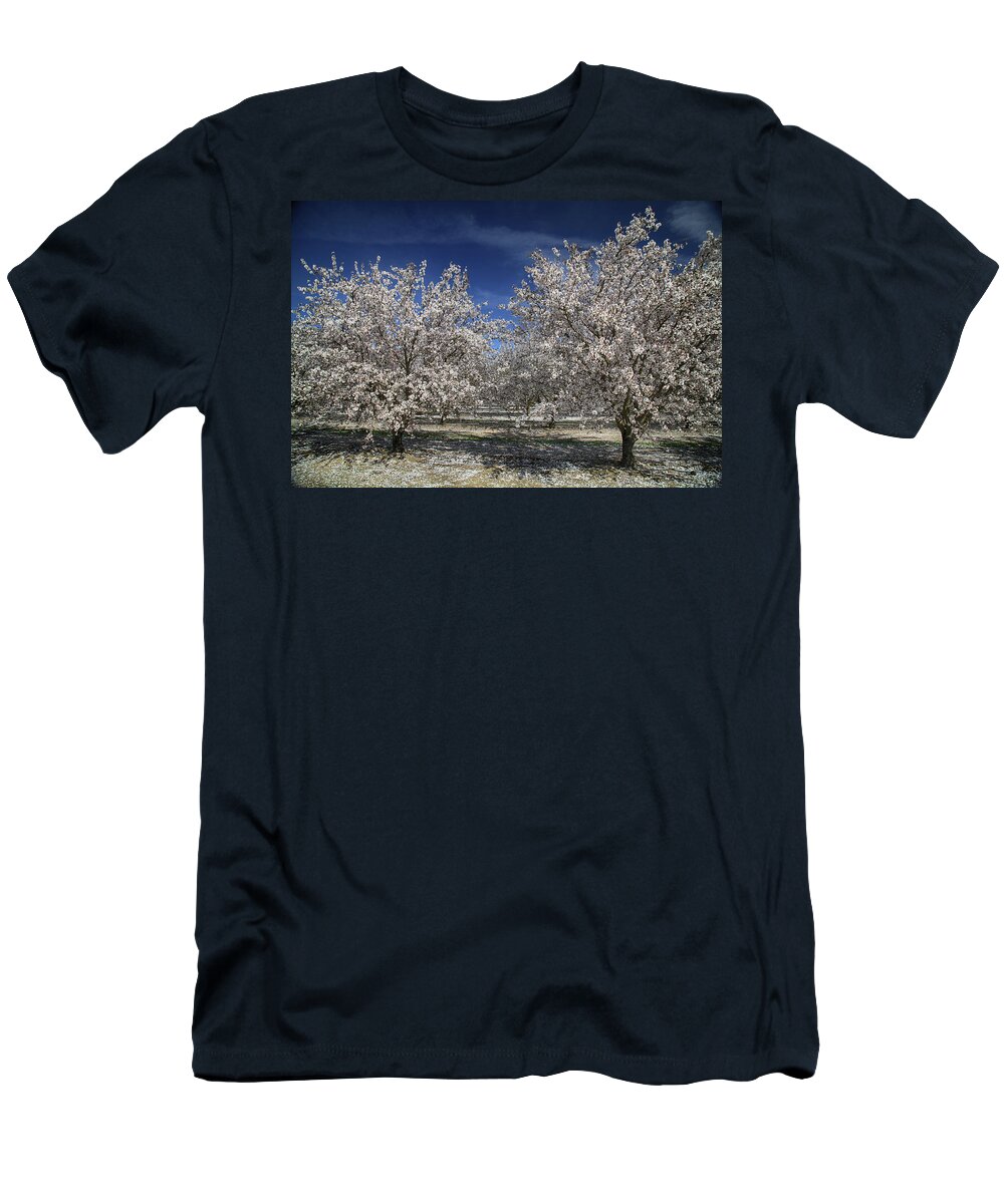 Fresno T-Shirt featuring the photograph Hopes and Dreams by Laurie Search