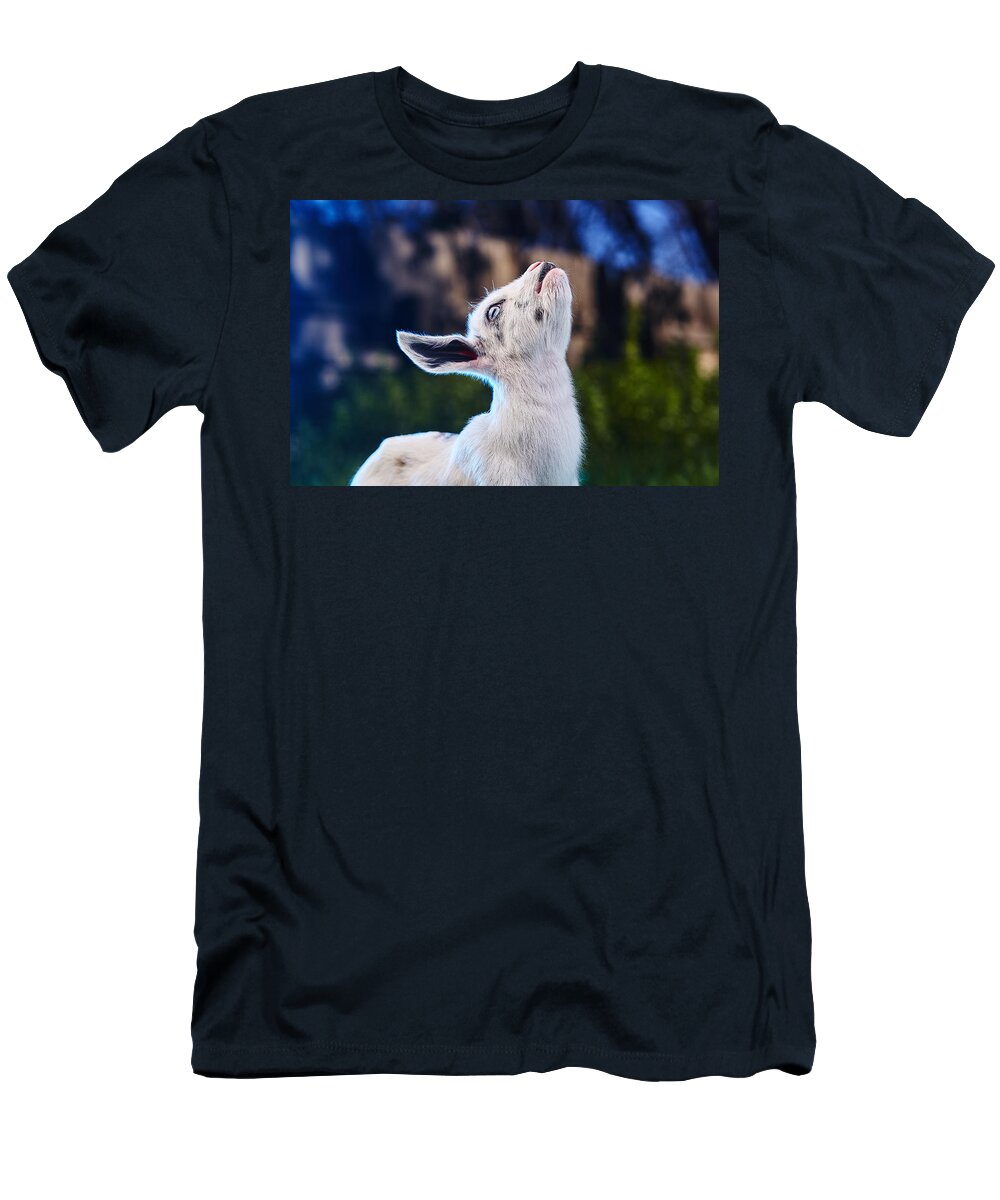 Goat T-Shirt featuring the photograph Keep calm and hold your head up by TC Morgan