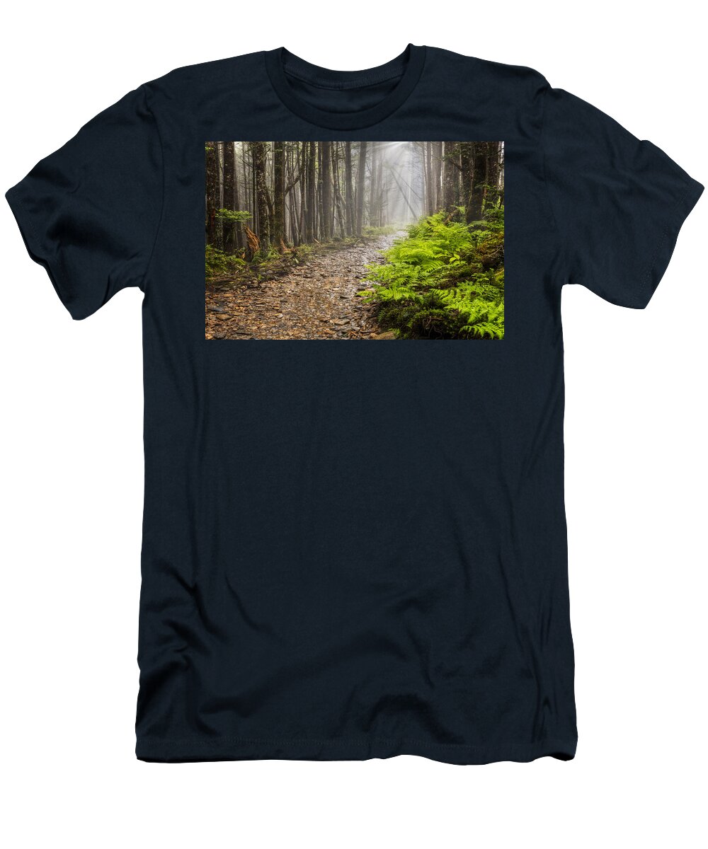 Trail T-Shirt featuring the photograph Light Beams by Debra and Dave Vanderlaan