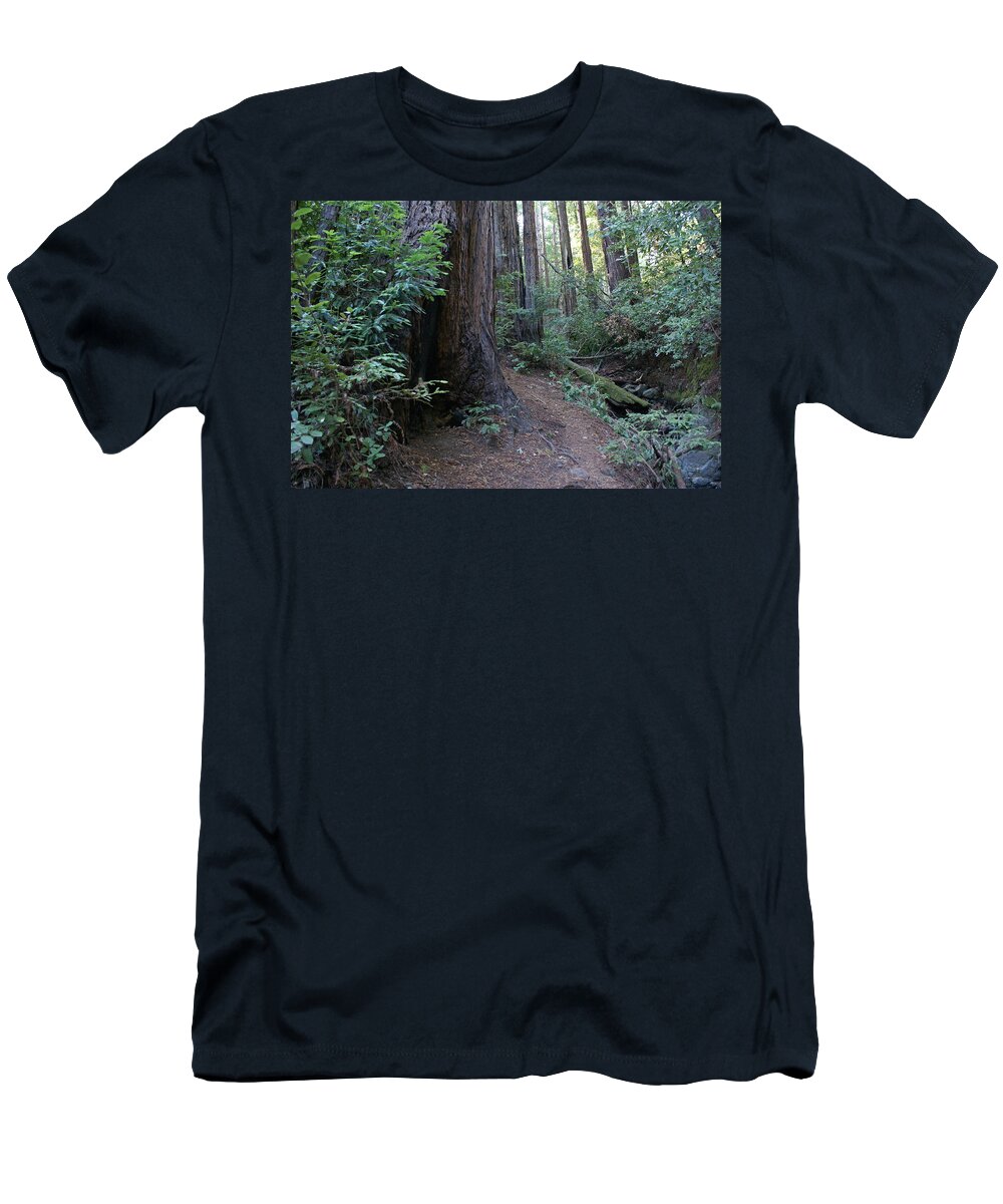 Mount Tamalpais T-Shirt featuring the photograph Magical Path Through the Redwoods on Mount Tamalpais by Ben Upham III
