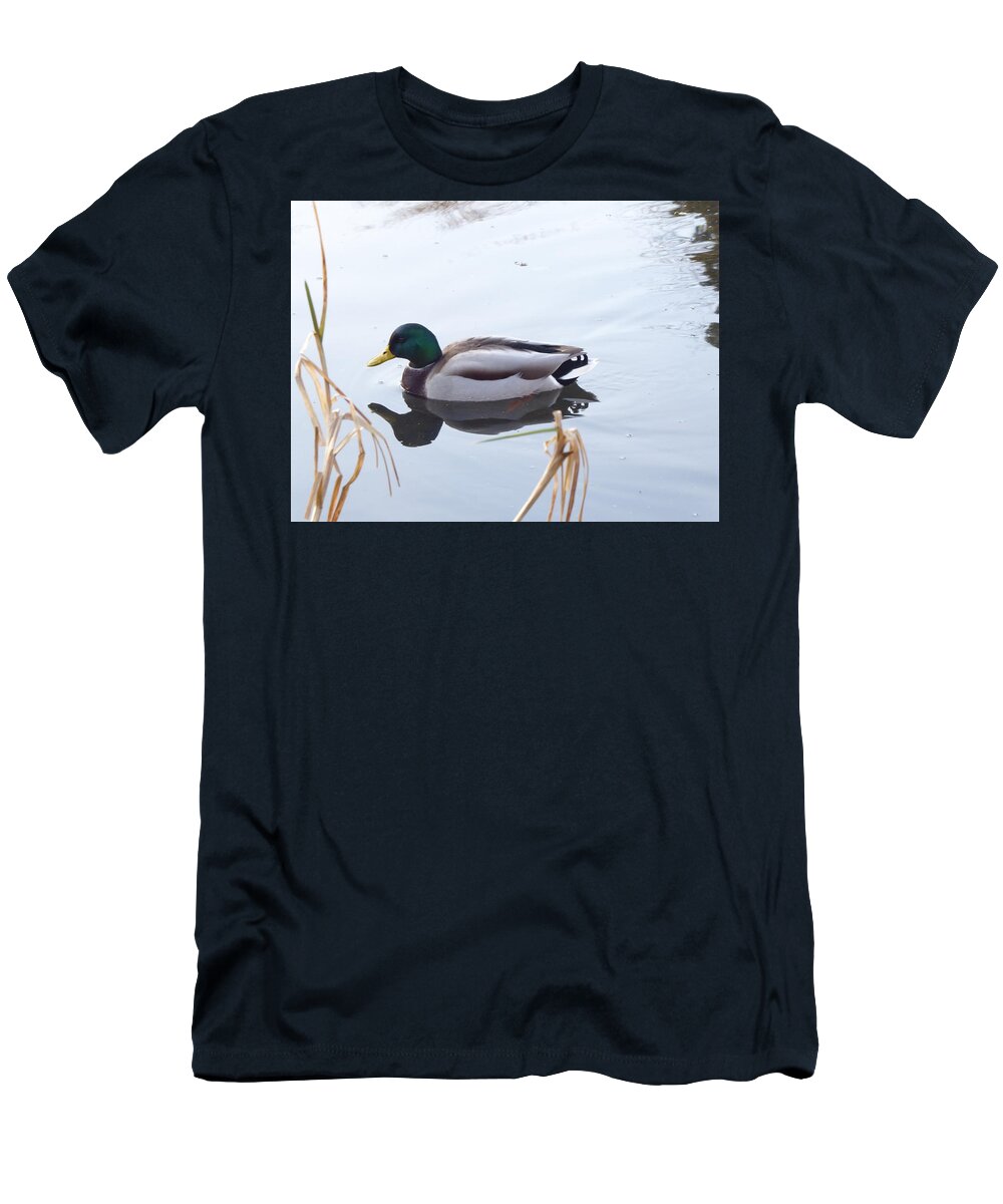 Mallard T-Shirt featuring the photograph Mallard reflected by Margaret Brooks