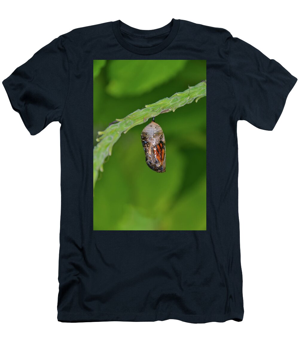 Chrysalis.butterfly T-Shirt featuring the photograph Monarch Butterfly Chrysalis Showing a Wing by Artful Imagery