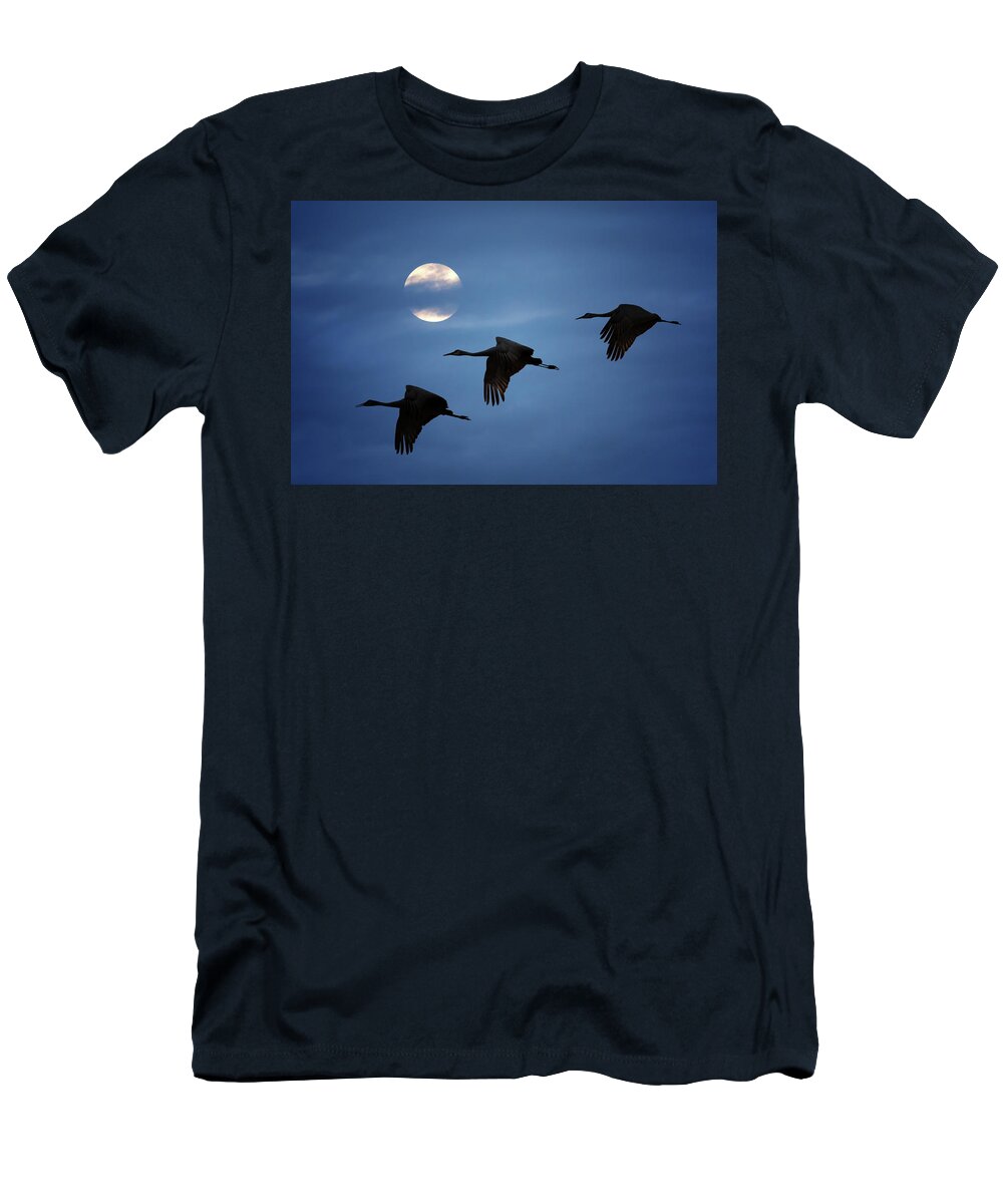 Sandhill Crane T-Shirt featuring the photograph Moonlit Flight by Susan Rissi Tregoning