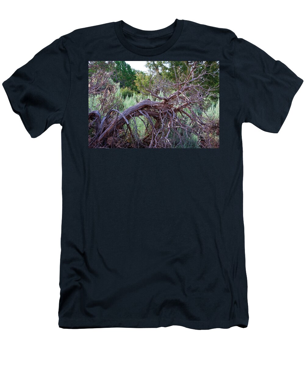 Brush Colorado Day Gently Grass Grasses Grassy Green Hand Jumble Moves Nature Paintbrush Painter Red Sway Weeds Wild T-Shirt featuring the photograph Nature's Paintbrush by Kent Nancollas