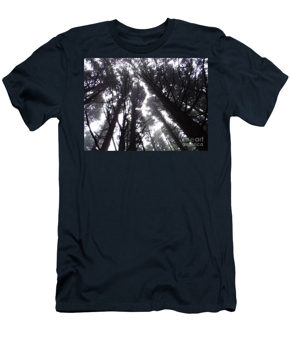 Oregon Pine Tops 1 T-Shirt featuring the photograph Oregon Pine Tops 1 by Paddy Shaffer