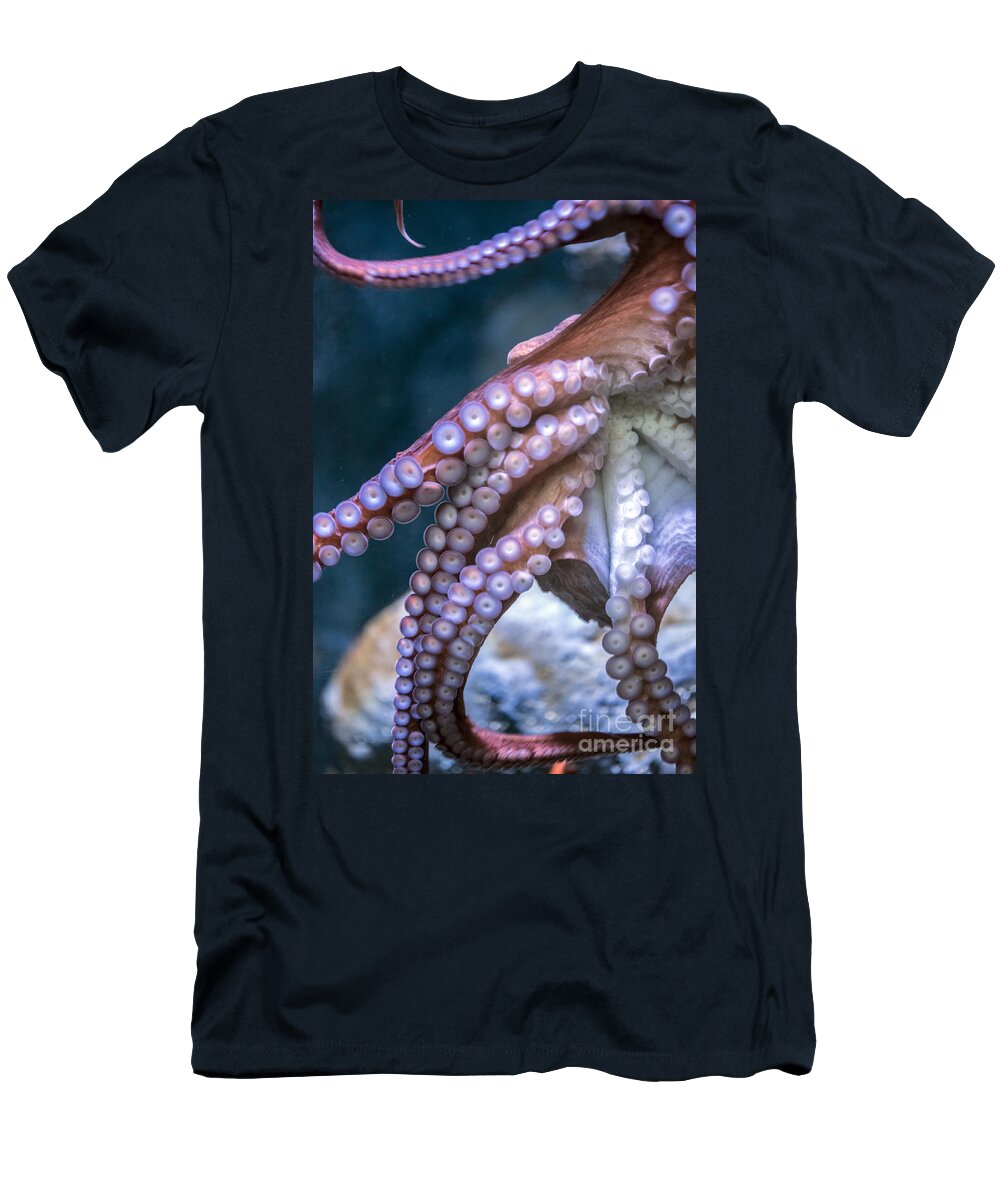 The Aquarium Of The Pacific T-Shirt featuring the photograph Pacific Octopus Vertical by David Zanzinger