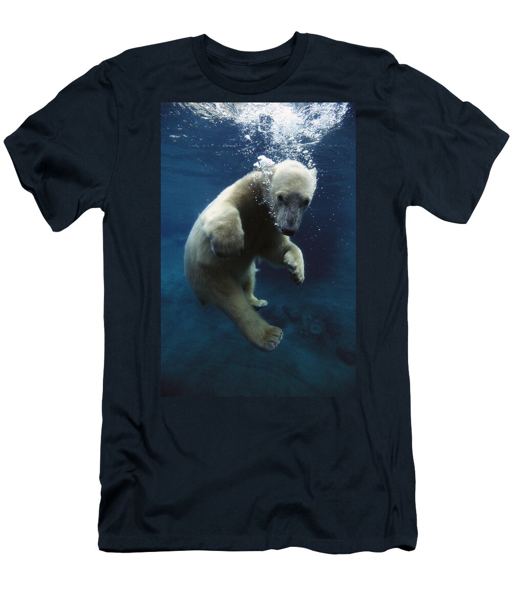 Mp T-Shirt featuring the photograph Polar Bear Ursus Maritimus Cub by San Diego Zoo