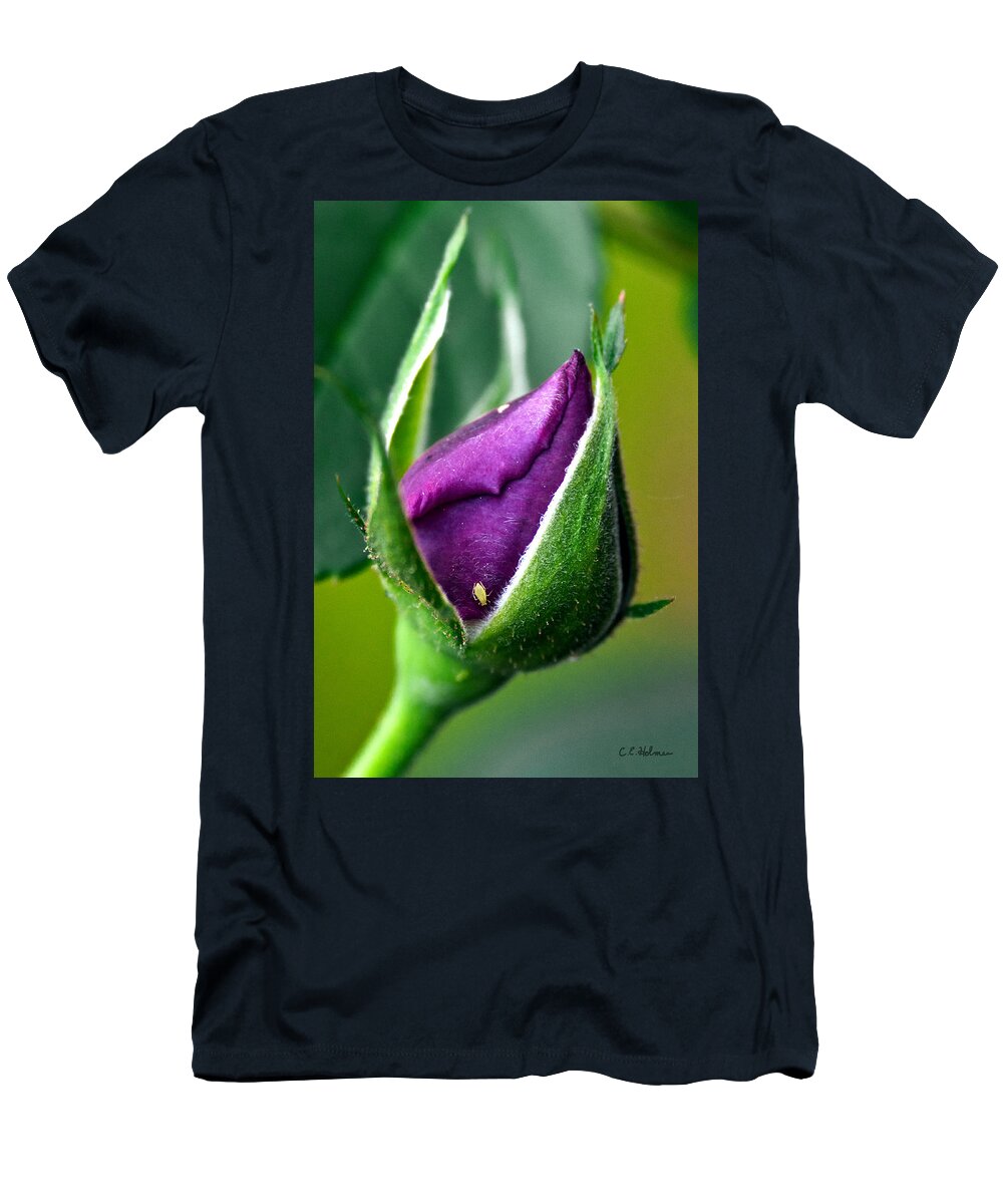 Rose T-Shirt featuring the photograph Purple Rose Bud by Christopher Holmes