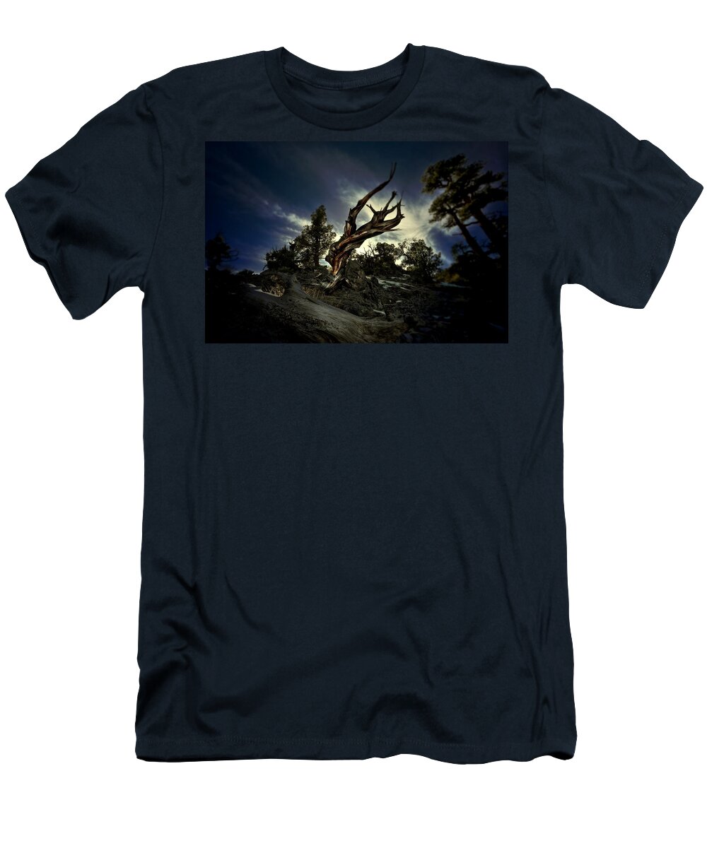 Tree T-Shirt featuring the photograph Reminder by Mark Ross