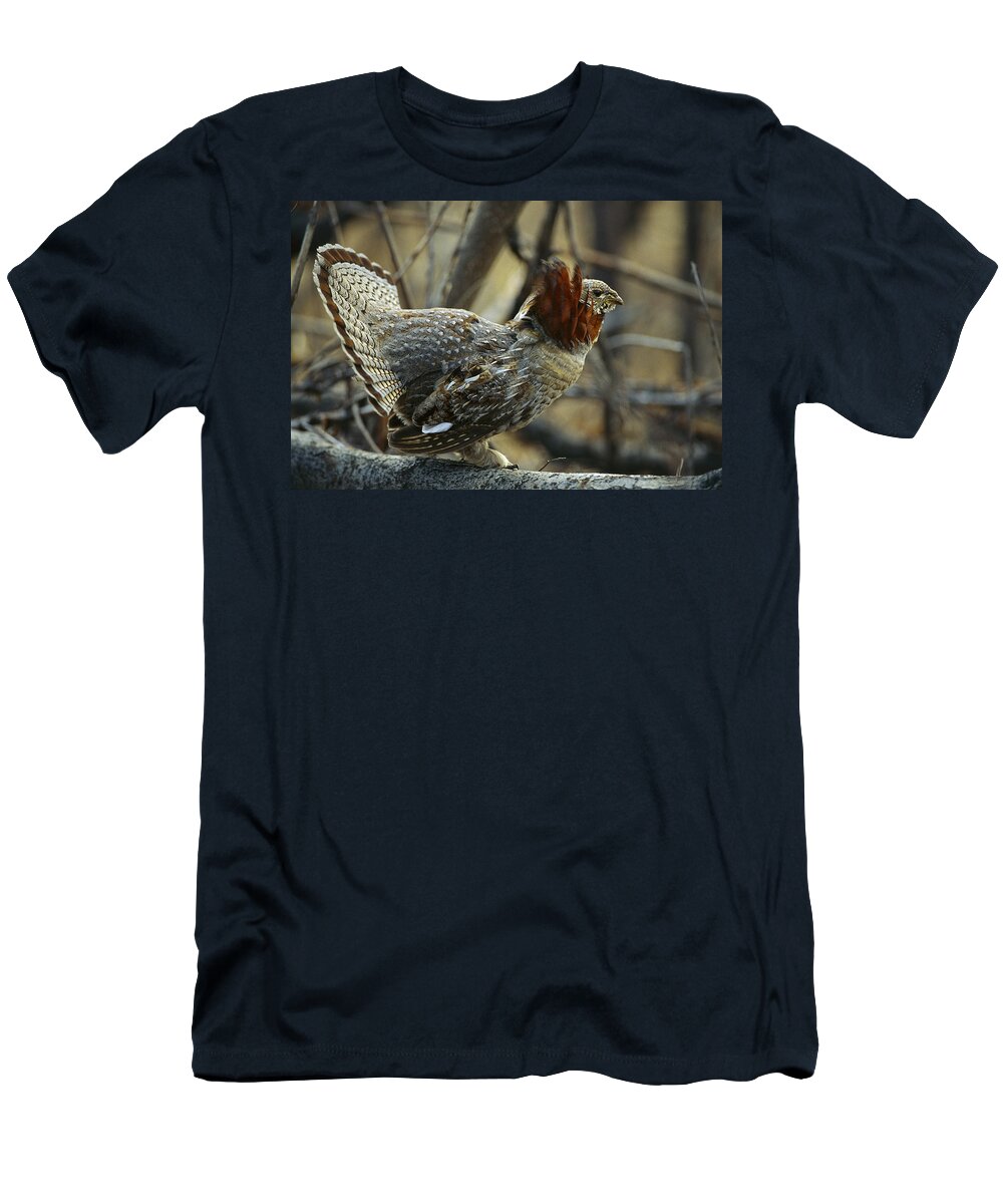 Mp T-Shirt featuring the photograph Ruffed Grouse Bonasa Umbellus Male by Michael Quinton