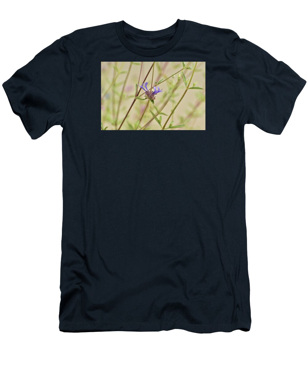 Linda Brody T-Shirt featuring the photograph Salvia Clevelandii III by Linda Brody