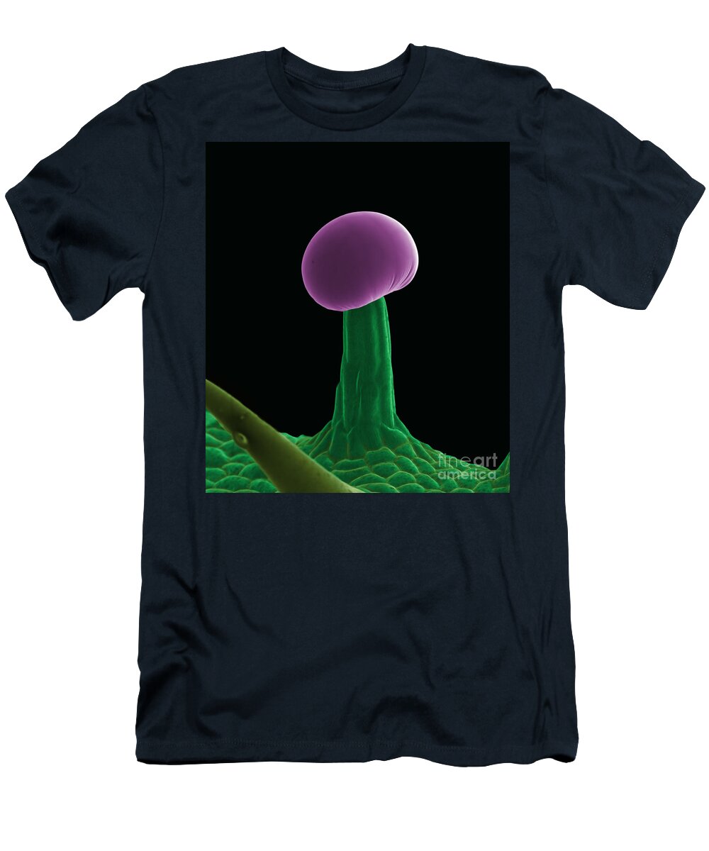 Biological T-Shirt featuring the photograph SEM Cannabis Trichome by Ted Kinsman
