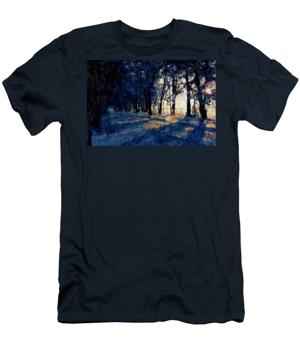 Snow T-Shirt featuring the photograph Shadows on the Path by Julie Lueders 