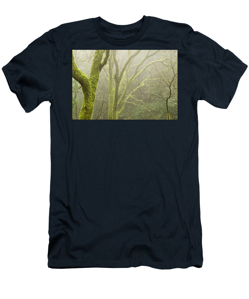 Fog T-Shirt featuring the photograph SKN 3726 Fog and Moss by Sunil Kapadia