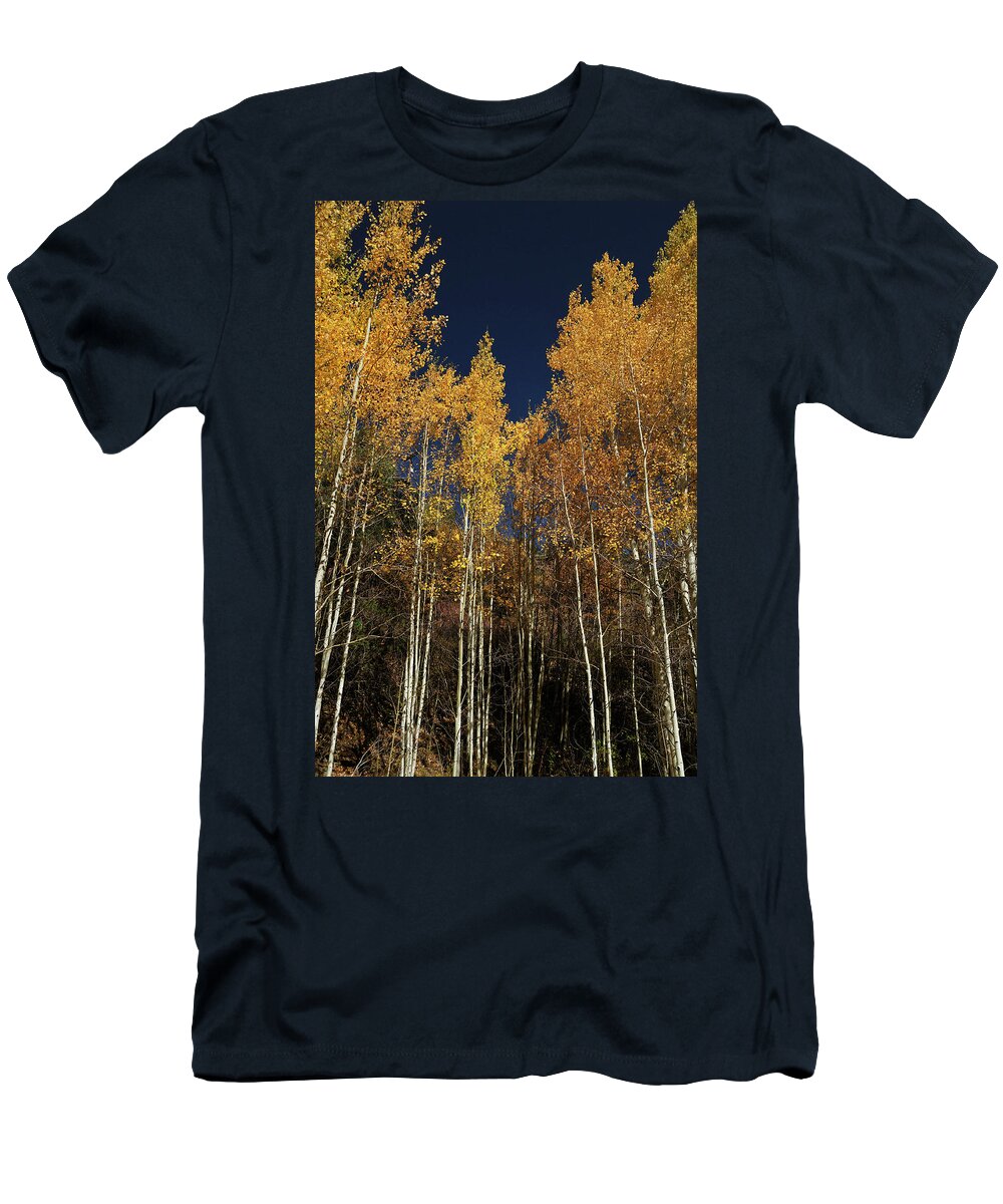 Landscape T-Shirt featuring the photograph Skyward Aspens by Ron Cline