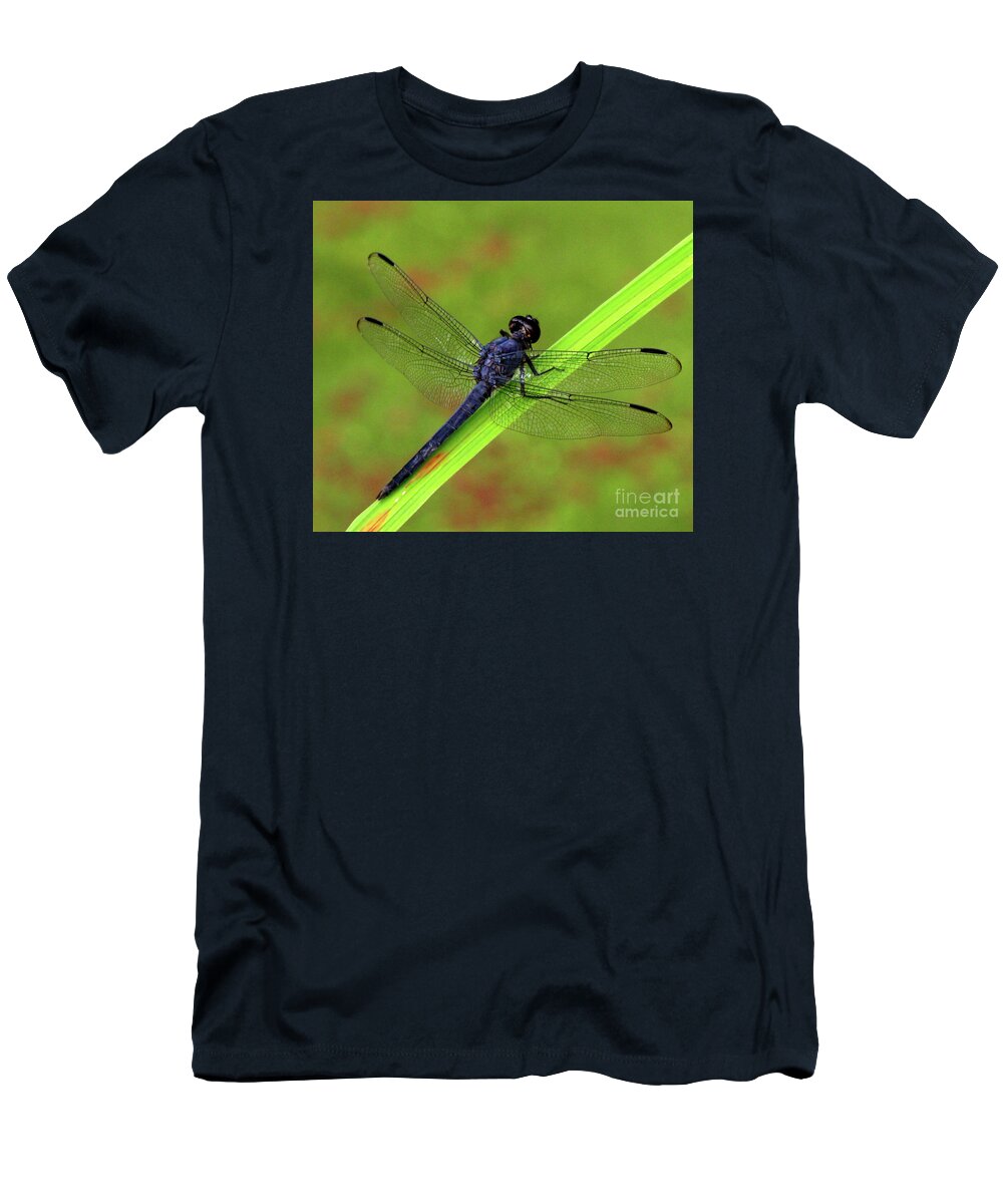 Insect T-Shirt featuring the photograph Slaty Skimmer Dragonfly by Donna Brown