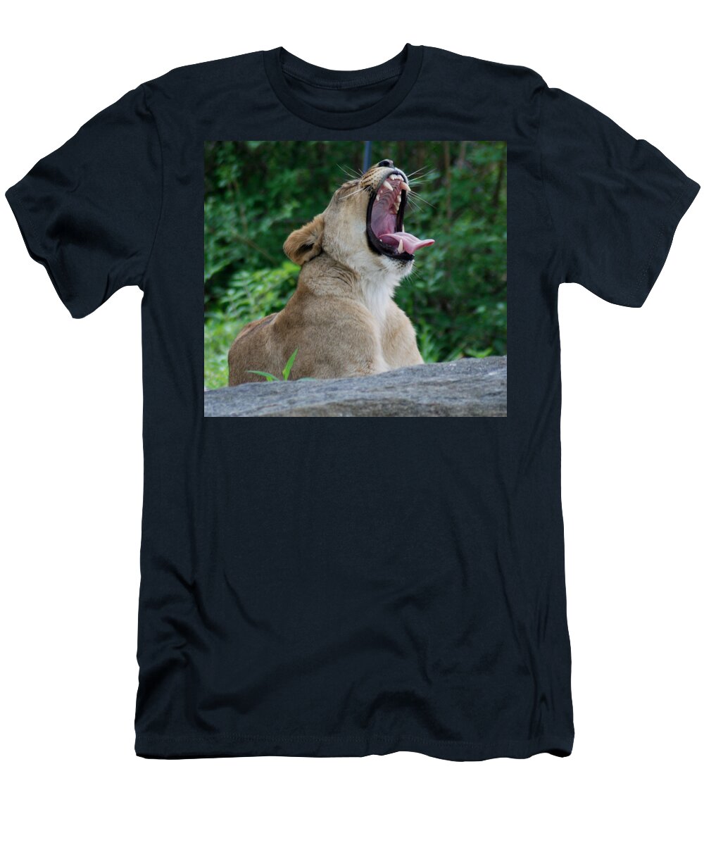 Lion T-Shirt featuring the photograph Sleepy Lion by Richard Bryce and Family