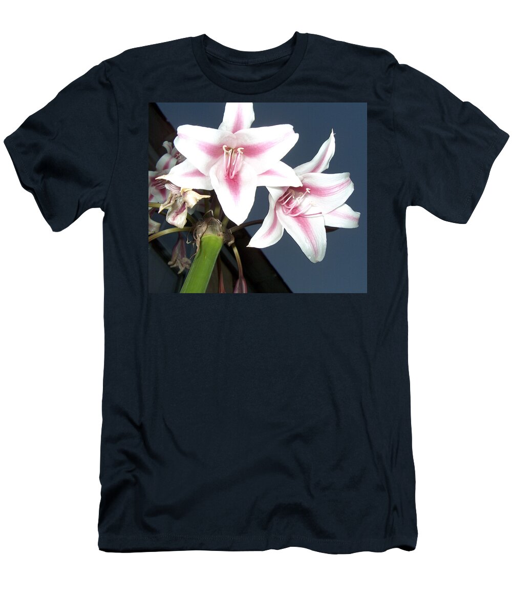 Star Flower T-Shirt featuring the photograph Star Flower by Bertie Edwards