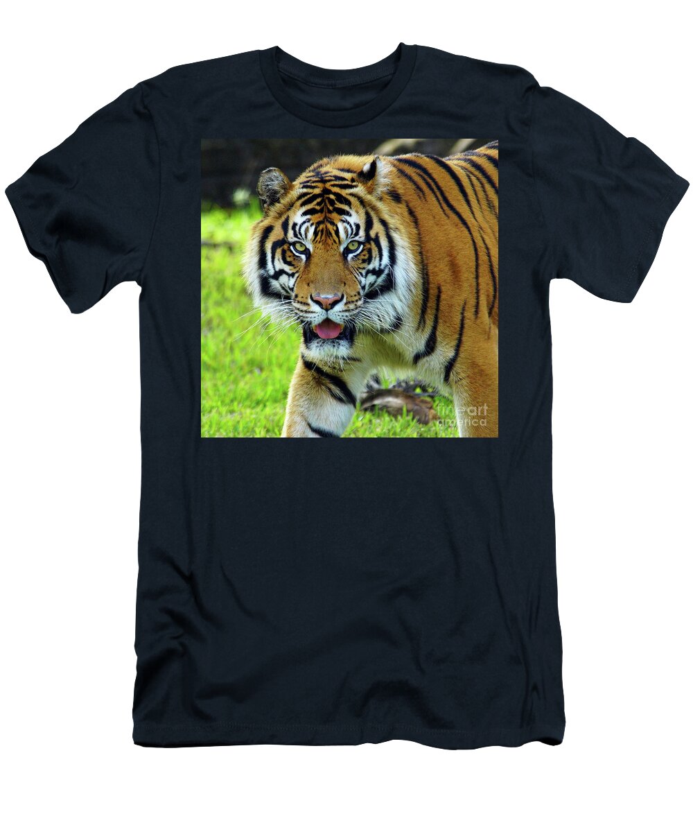 Tiger T-Shirt featuring the photograph Tiger The Stare by Larry Nieland