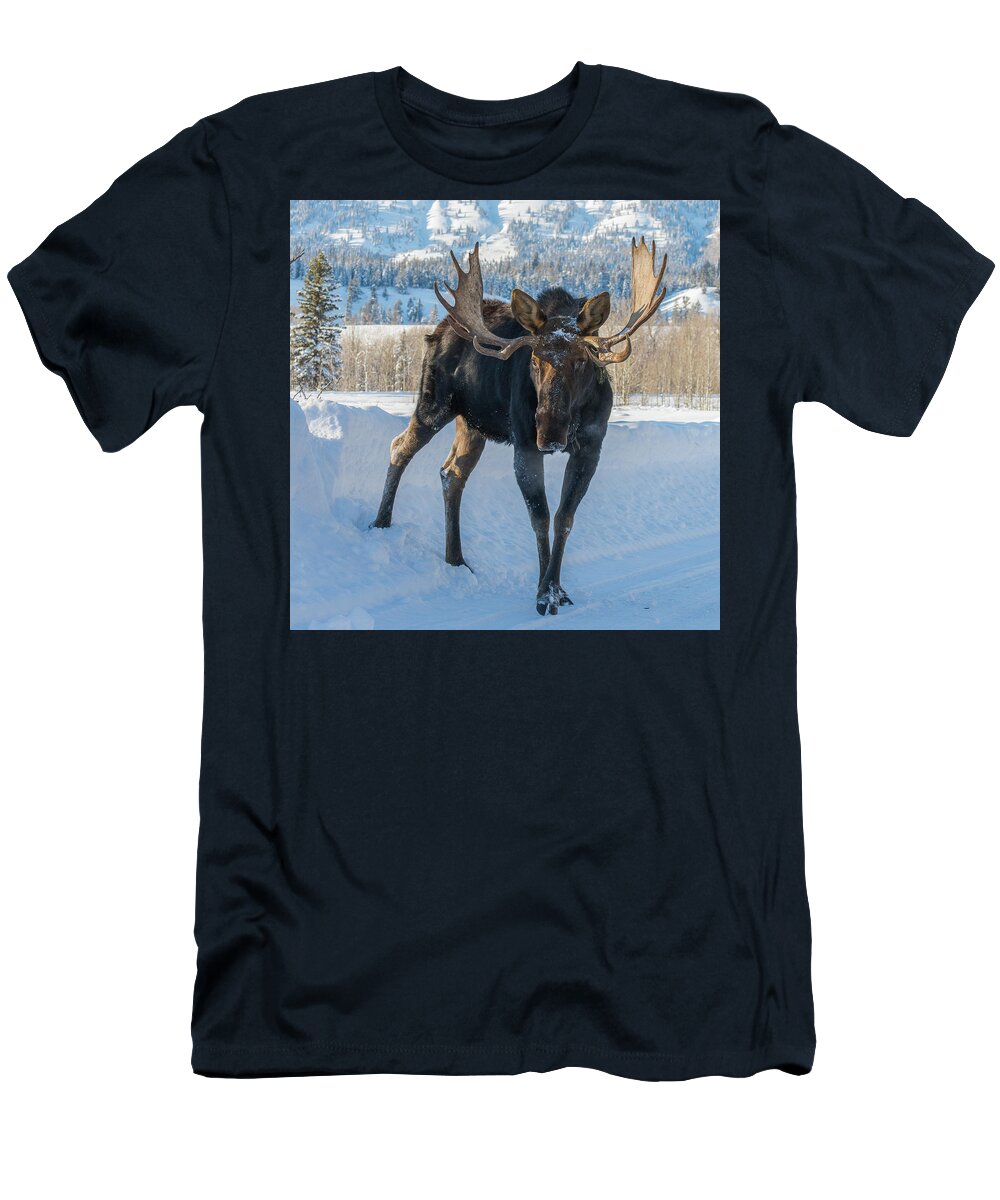 Moose T-Shirt featuring the photograph Walkin' The Road by Yeates Photography