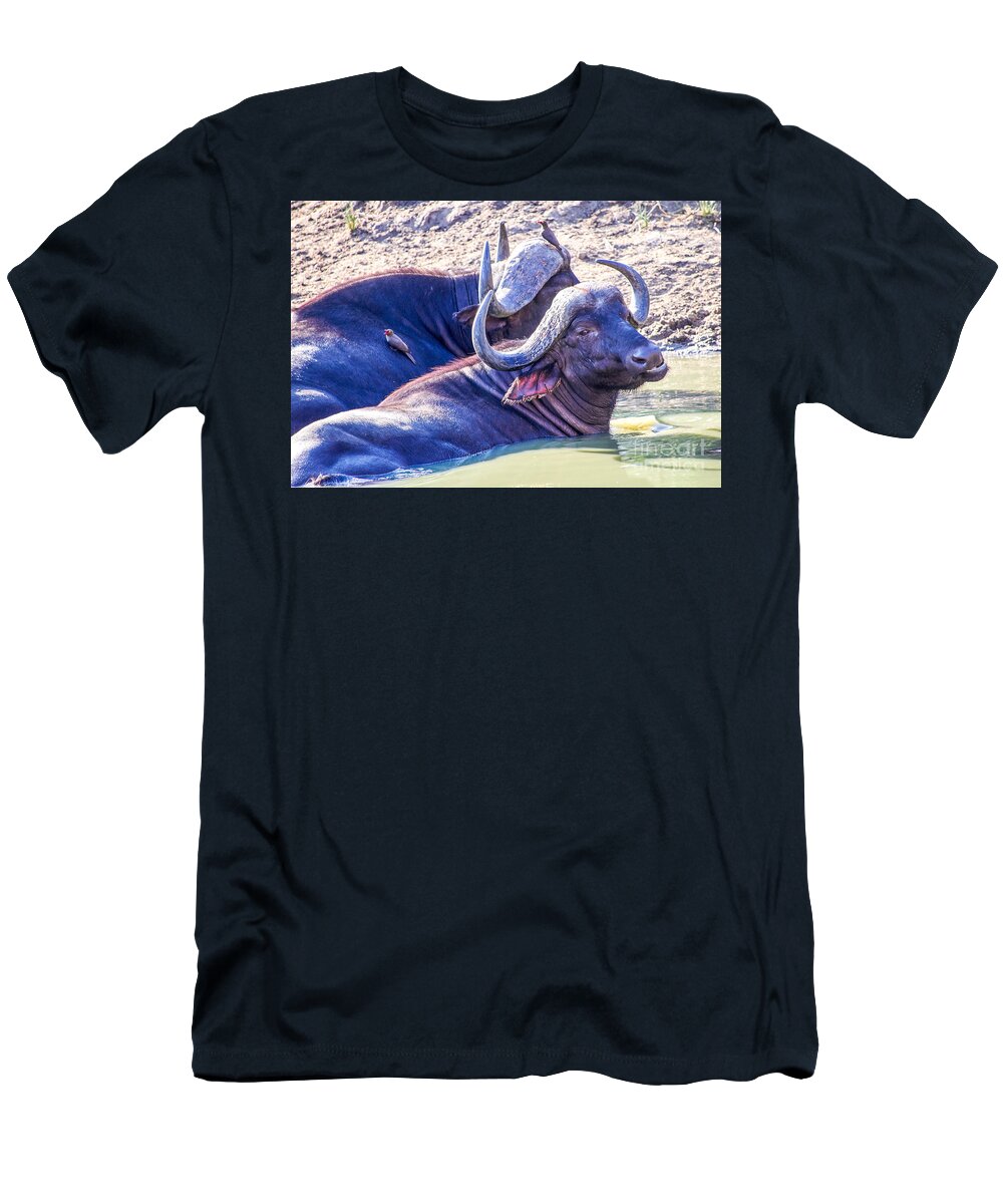 Africa T-Shirt featuring the photograph Water Buffalo by Juergen Klust