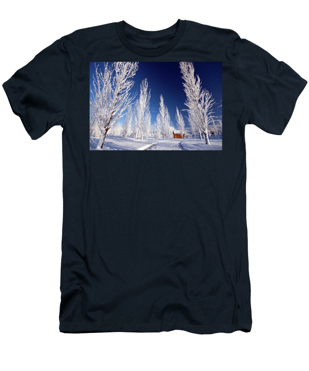 Winter T-Shirt featuring the photograph Winter Landscape by Wesley Aston
