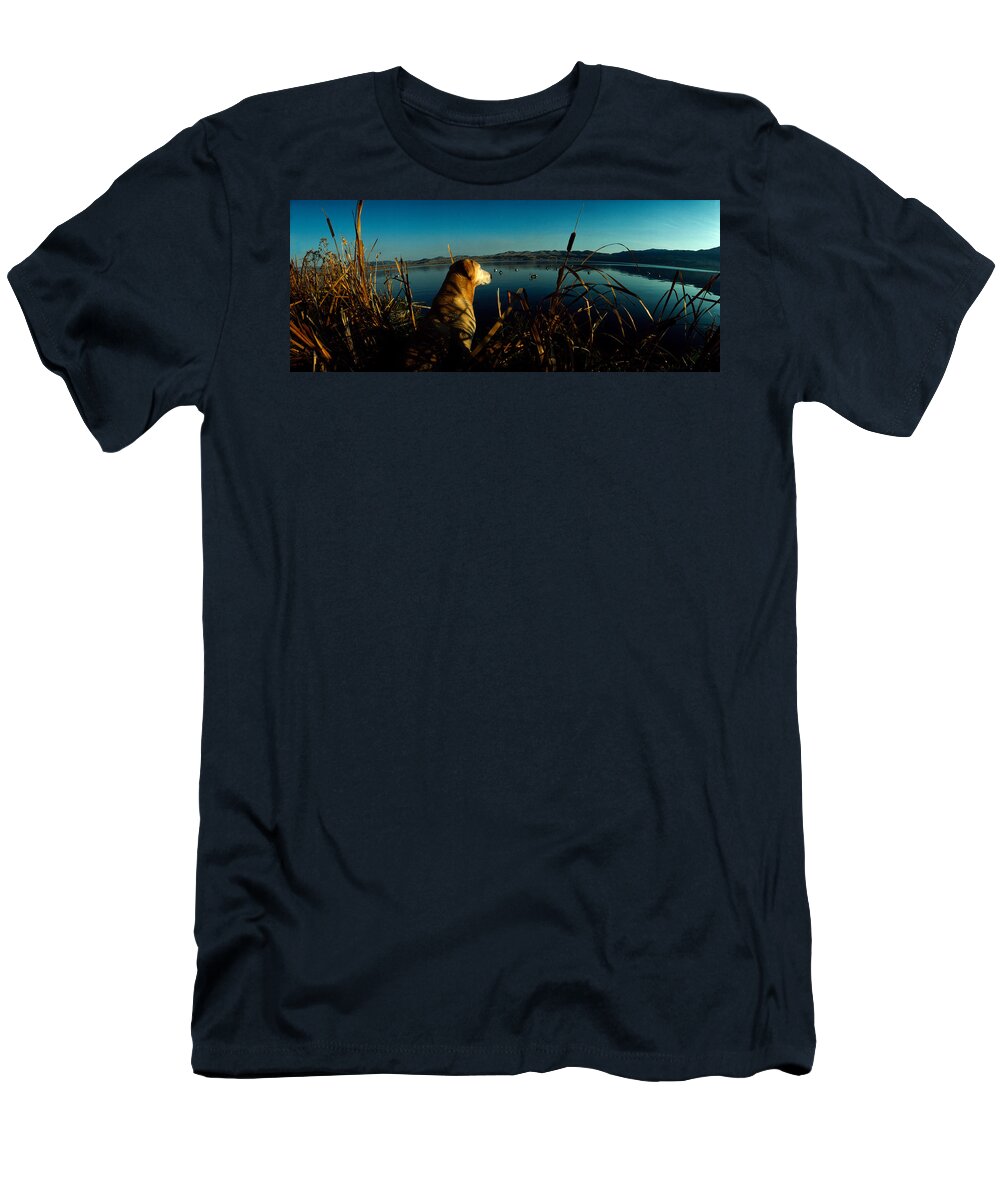 Photography T-Shirt featuring the photograph Yellow Labrador Retriever by Panoramic Images