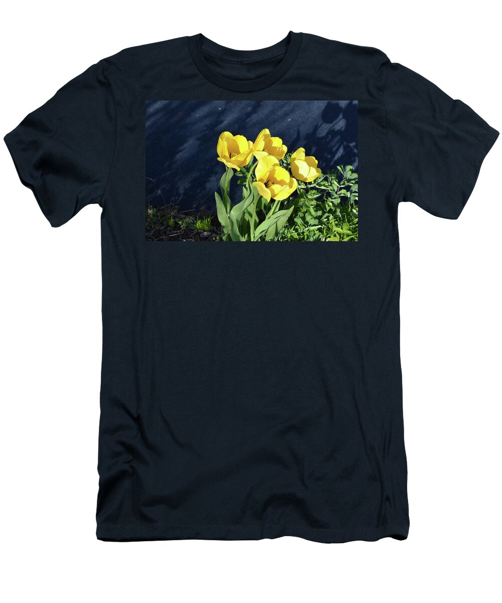 Garden T-Shirt featuring the photograph Yellow Tulips by Kathleen Stephens
