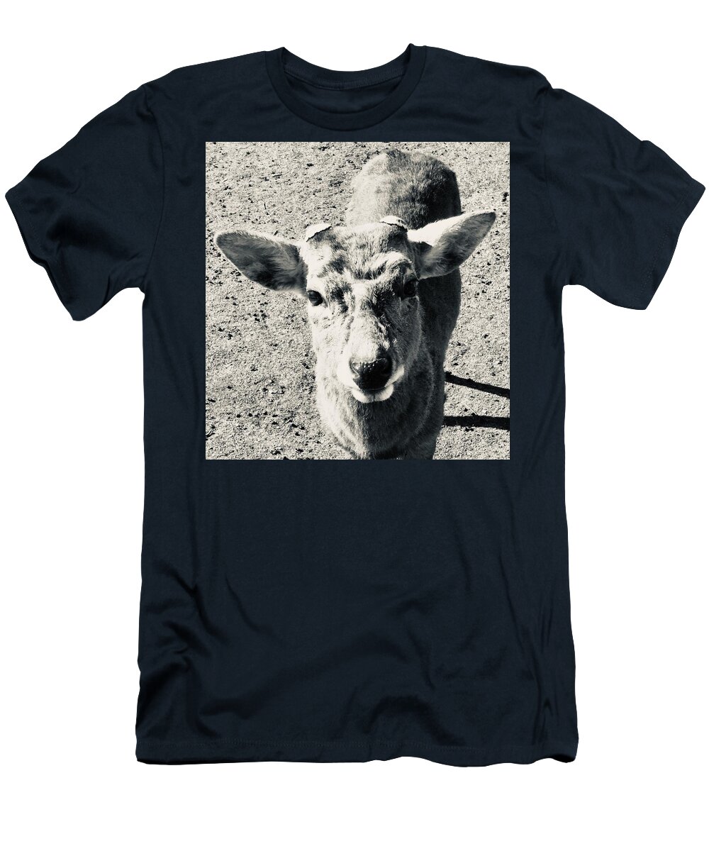 Deer T-Shirt featuring the photograph Strong deer by Batabatabat Batayan