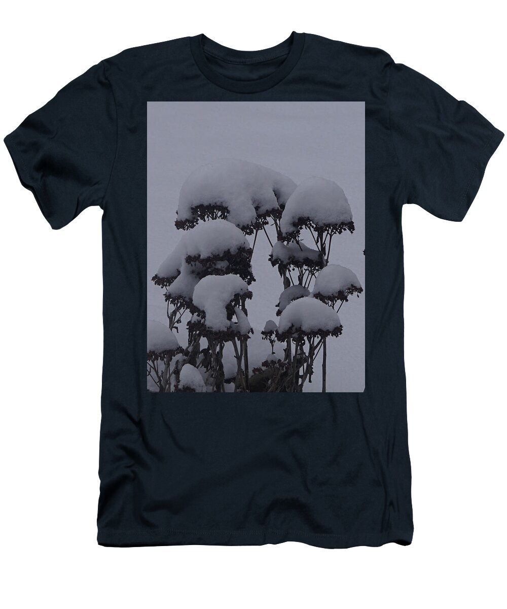 Autumn Glory T-Shirt featuring the photograph Autumn Glory In Winter by Robert E Alter Reflections of Infinity