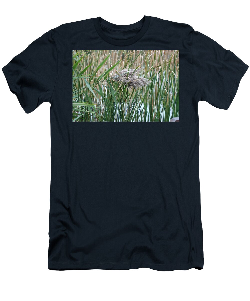  T-Shirt featuring the photograph Autumn Transition 196 by Ee Photography
