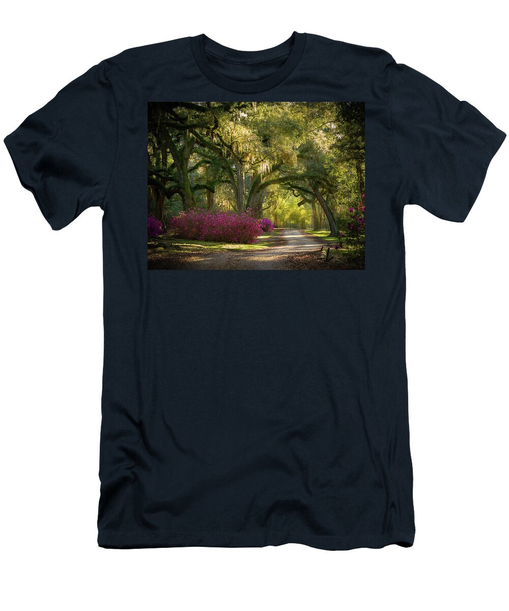 Avery Island Pathway T-Shirt featuring the photograph Avery Island Pathway by Jean Noren
