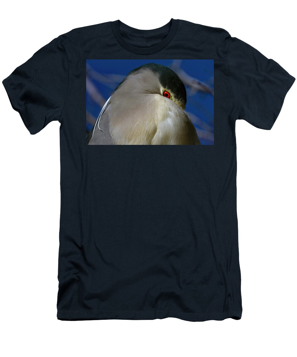 Black Crowned Night Heron T-Shirt featuring the photograph Black Crowned Night Heron 1 by Rick Mosher