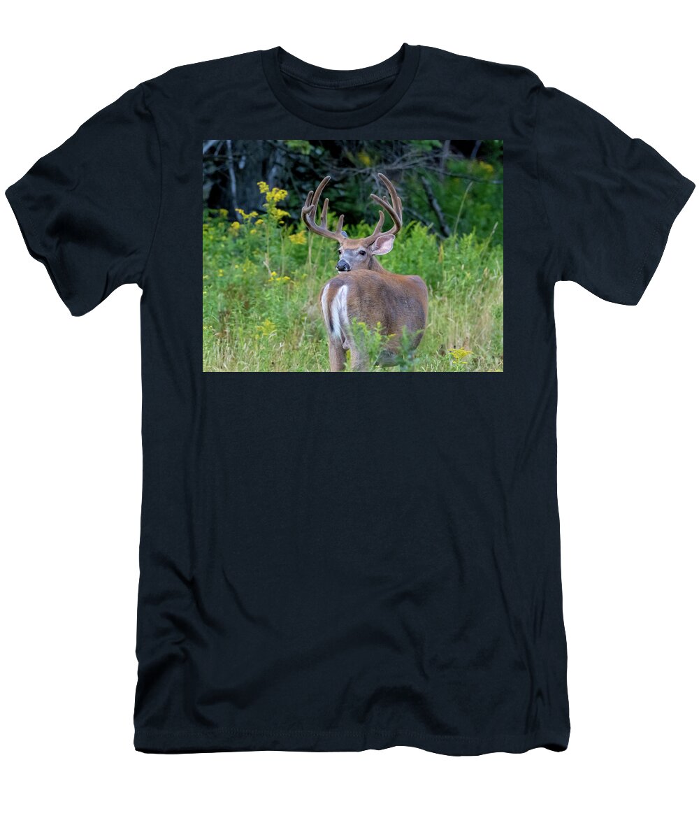 Buck T-Shirt featuring the photograph Buck at Hunter Cove by Scene by Dewey