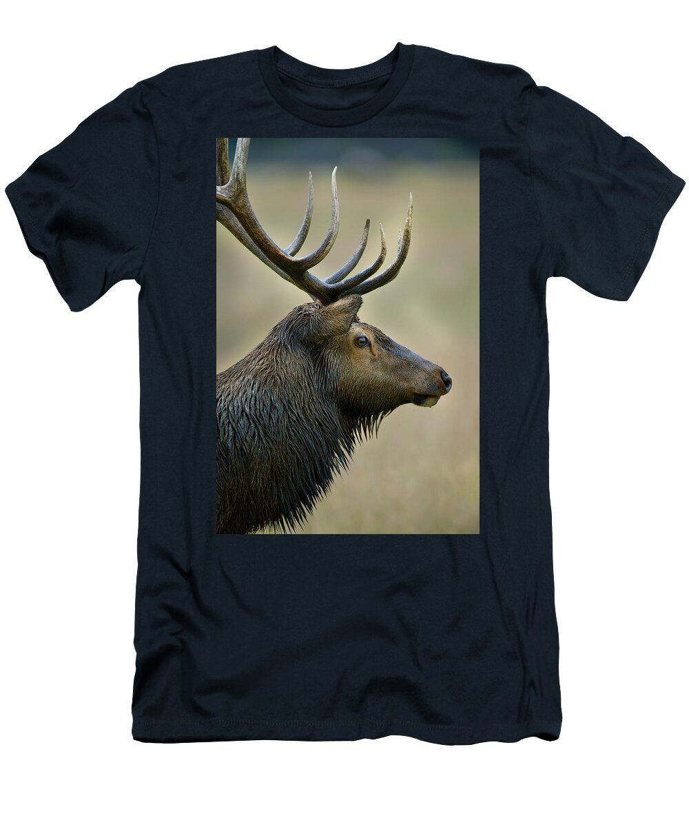 Bull T-Shirt featuring the photograph Bull Elk Close Up by Gary Langley