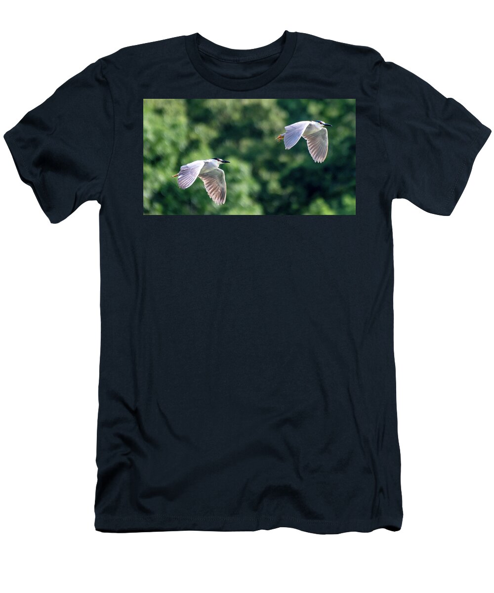 Black Crowned Night Herons T-Shirt featuring the photograph Double Fly By by Marcy Wielfaert