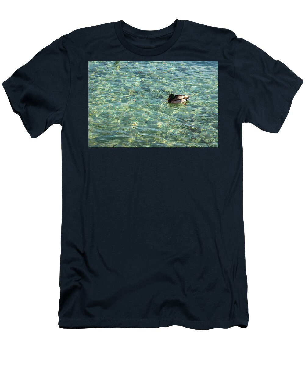 Georgia Mizuleva T-Shirt featuring the photograph Gliding on Rainbows - Mallard Duck on Sunshiny Lake by Georgia Mizuleva