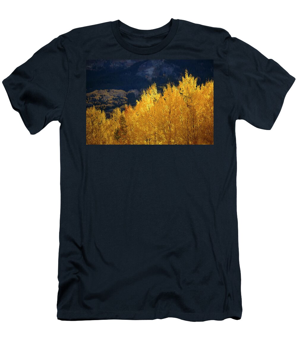 Colorado T-Shirt featuring the photograph Morning Aspens of Gold by James Covello