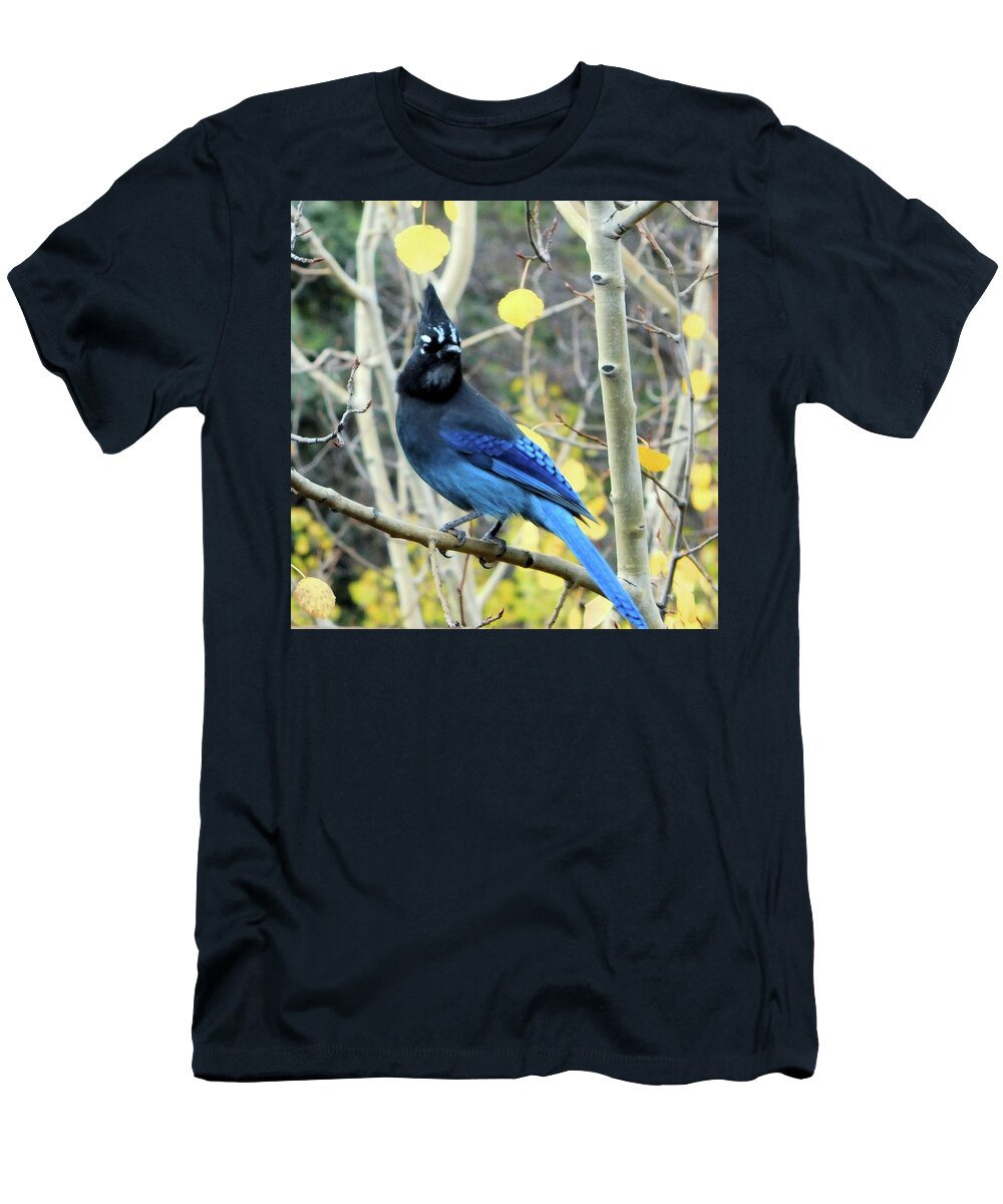 Birds T-Shirt featuring the photograph Mountain Jay II by Karen Stansberry