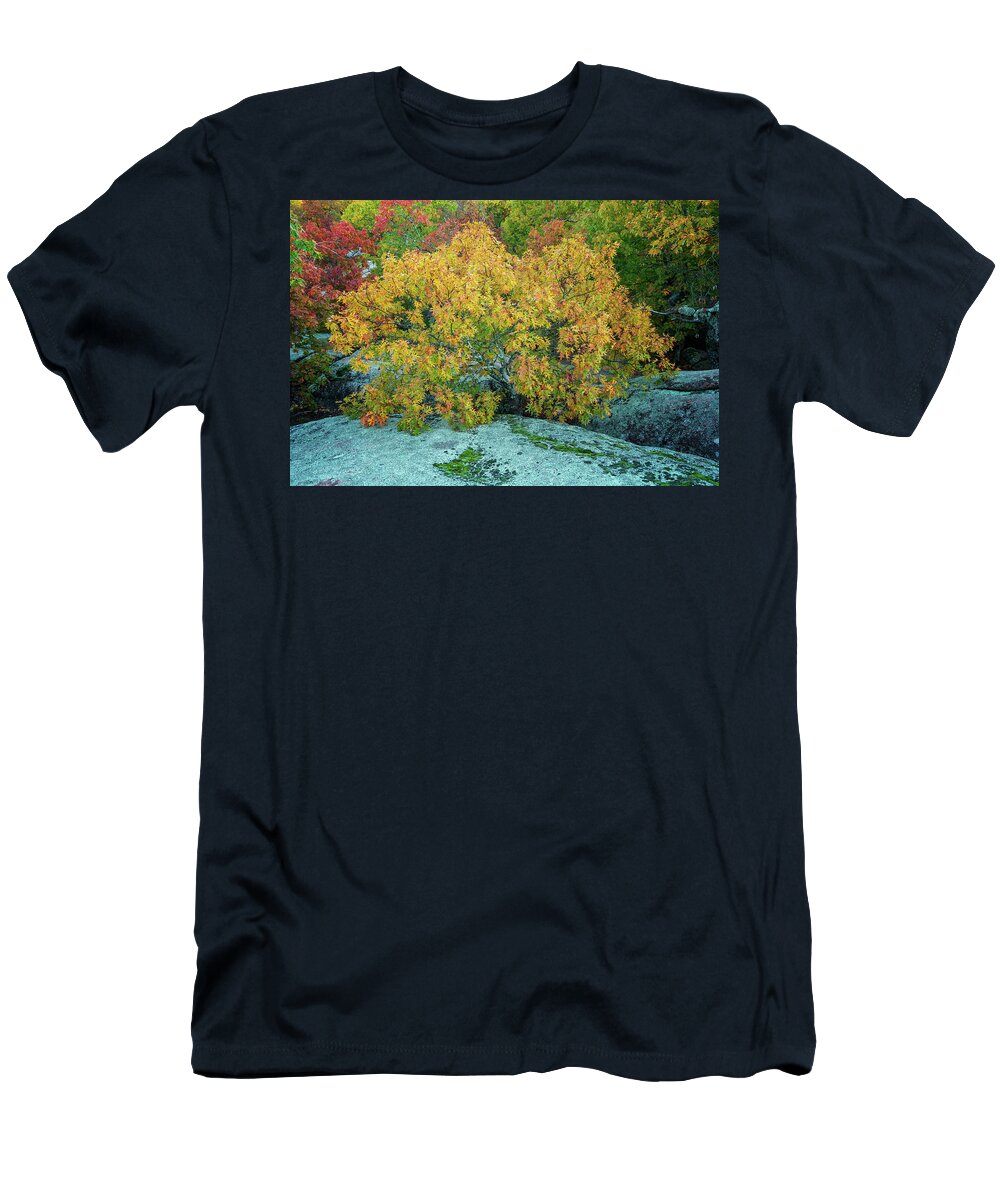 Elephant Rock T-Shirt featuring the photograph Oak Tree at Elephant Rocks MO_GRK0104_10292018 by Greg Kluempers